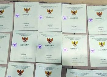 cara mengecek sertifikat tanah ganda